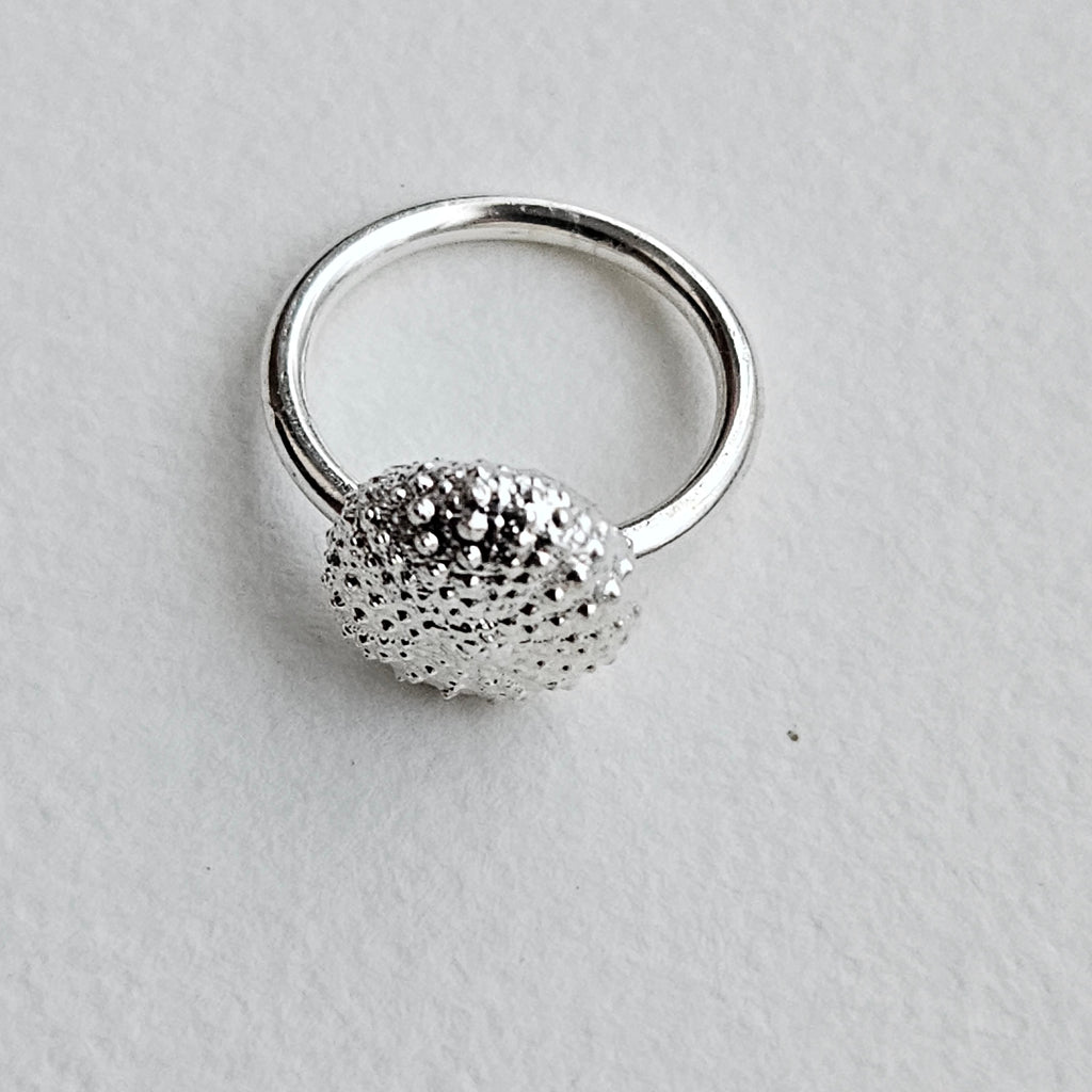 anillo Riccio