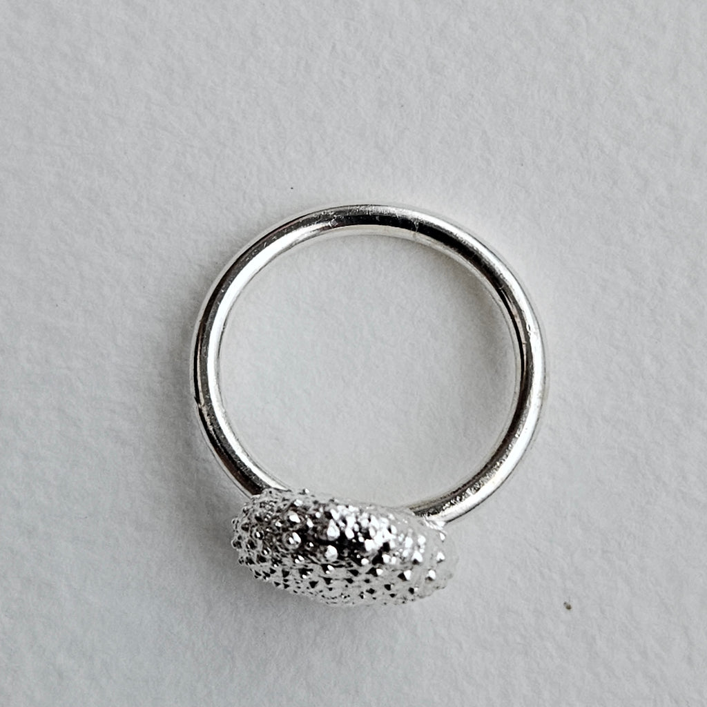anillo Riccio