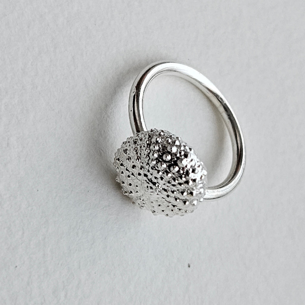 anillo Riccio