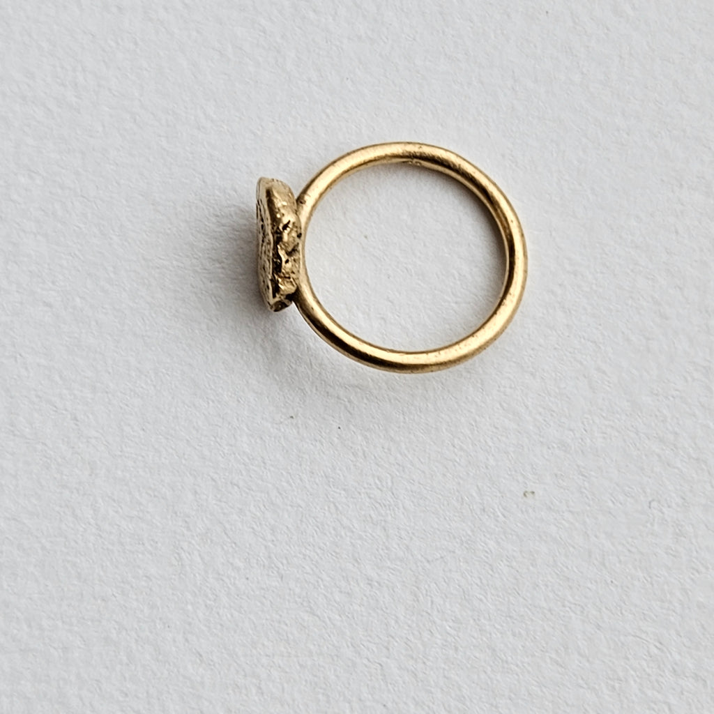 anillo bits