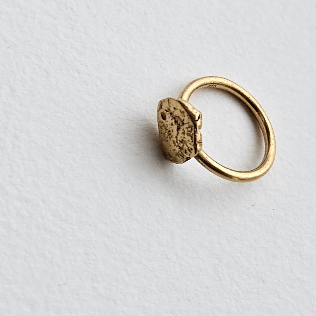 anillo bits