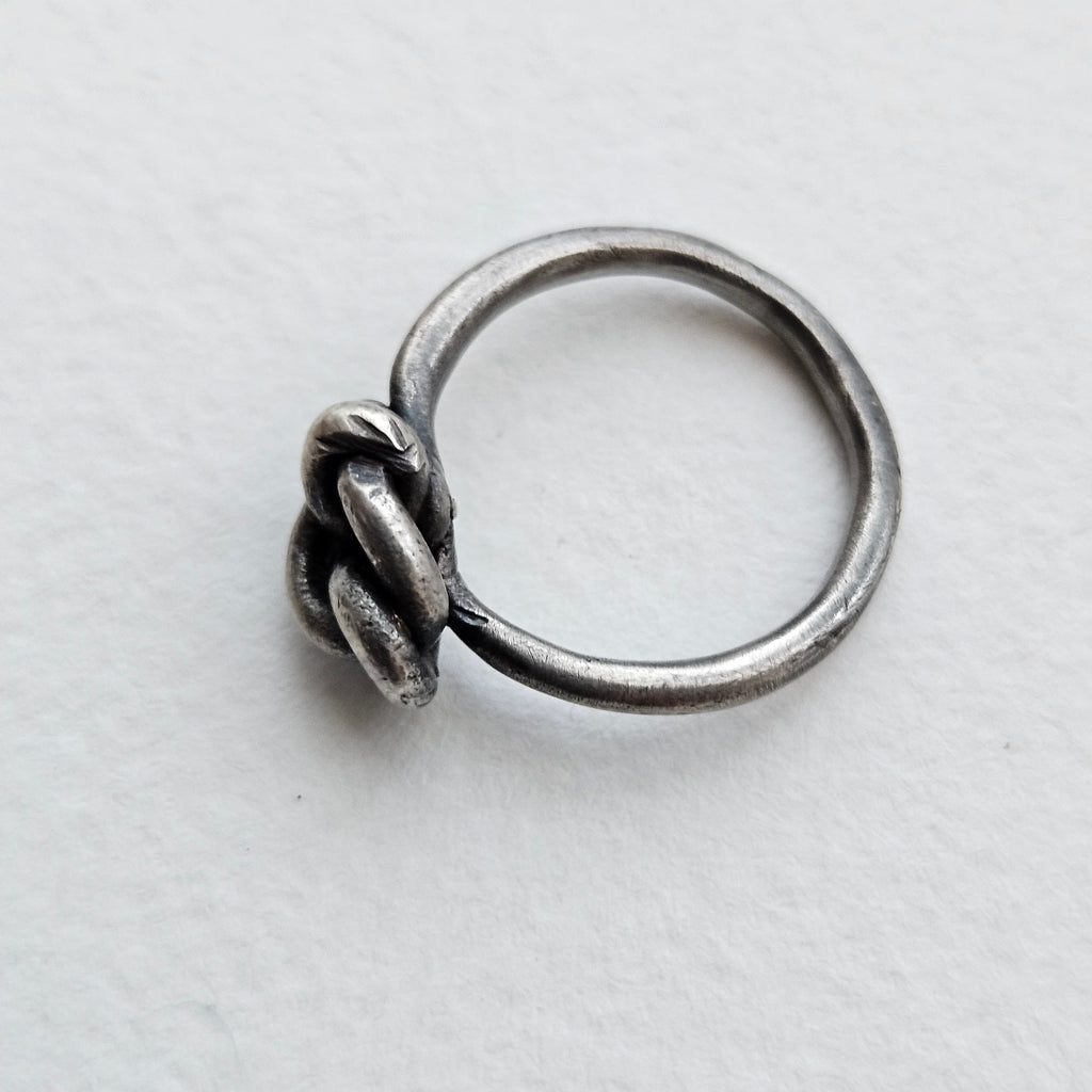 anillo Nodo