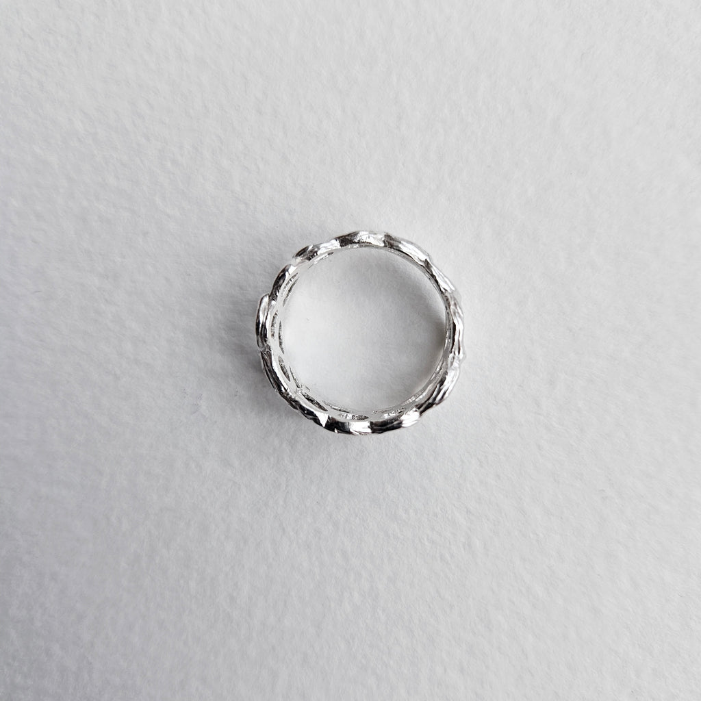 anillo Cells