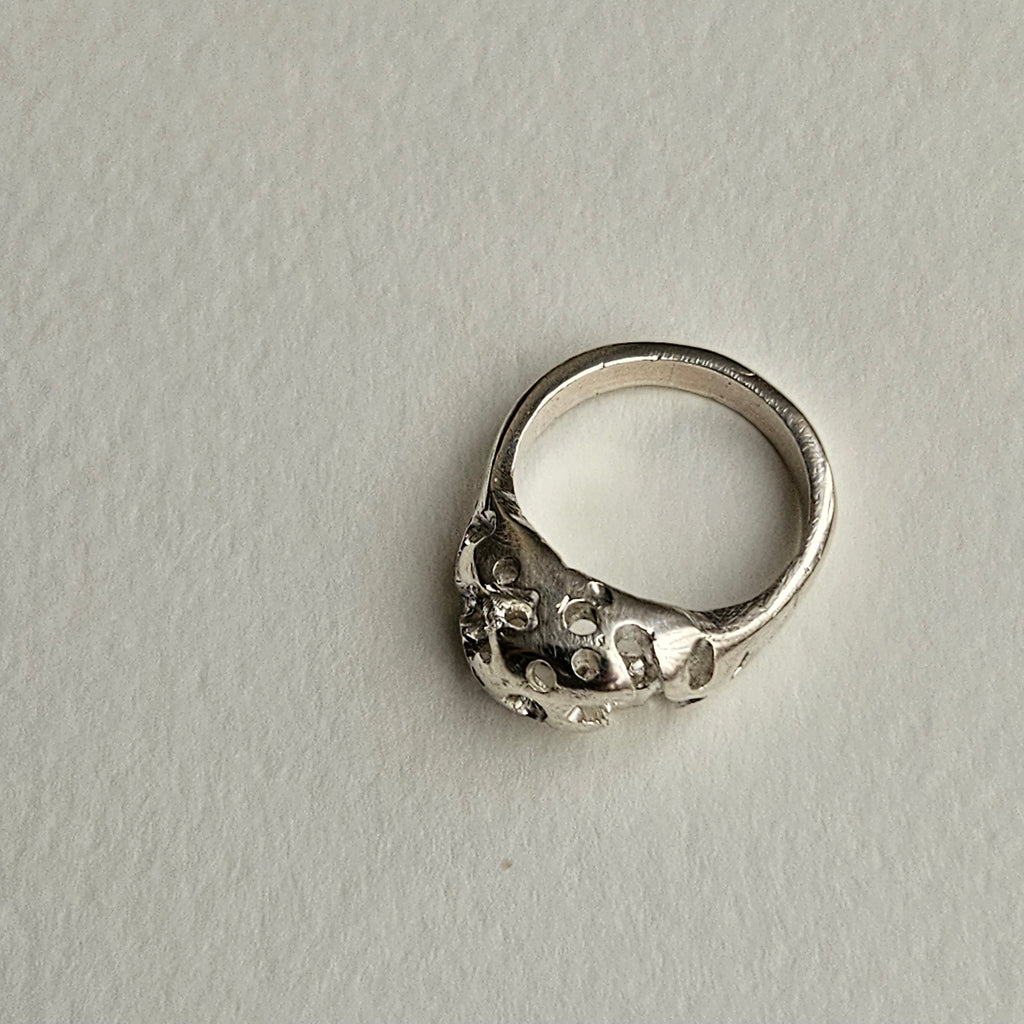 anillo Holes