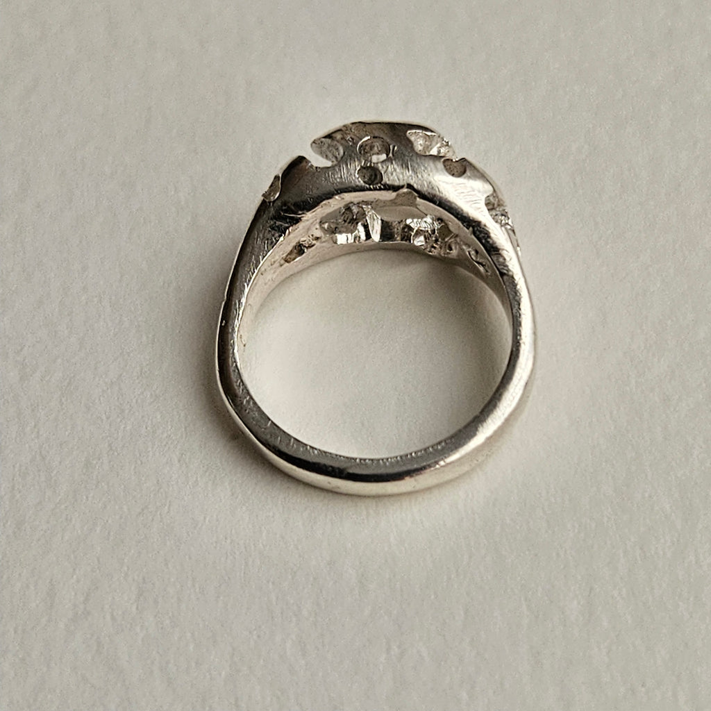 anillo Holes