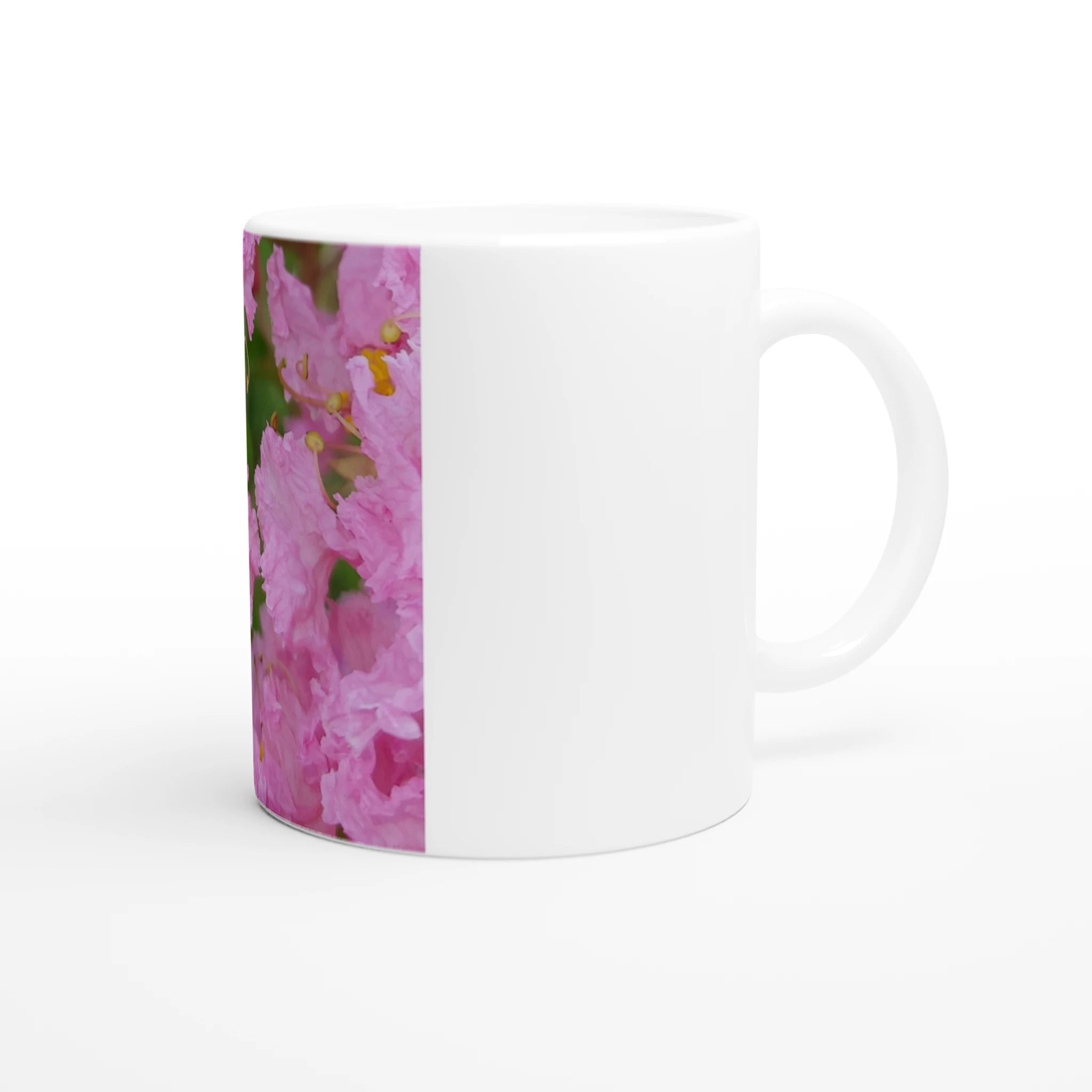 6c904c9d-e713-46be-bded-bb864759a49c